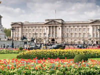 Palácio-de-Buckingham-Estrela-Tour