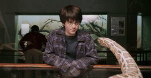 visite-cenarios-filme-harry-potter6